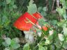 2006 - 5. AER-Treffen - Drolshagen