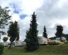 IMG_2659a.jpg
