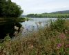DSC02516.JPG